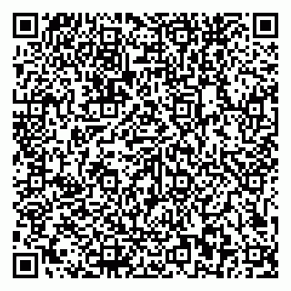 vCard 79581862038