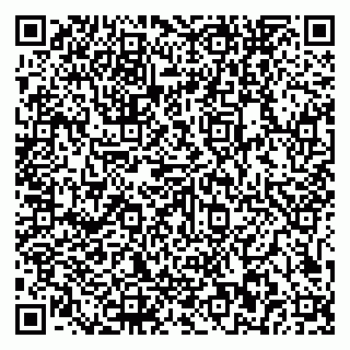 vCard 79581862080