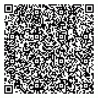 vCard 79581862095