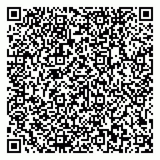 vCard 79581862099