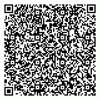 vCard 79581862103