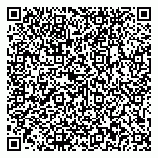 vCard 79581862110