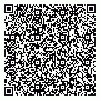 vCard 79581862111