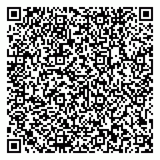 vCard 79581862131