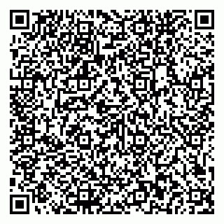 vCard 79581862132