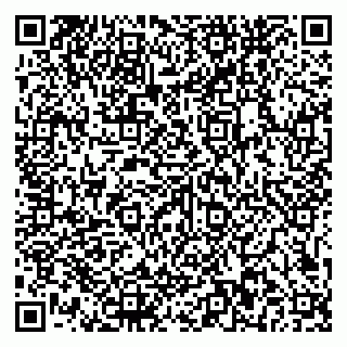 vCard 79581862133