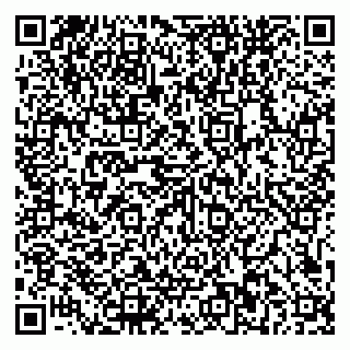 vCard 79581862135