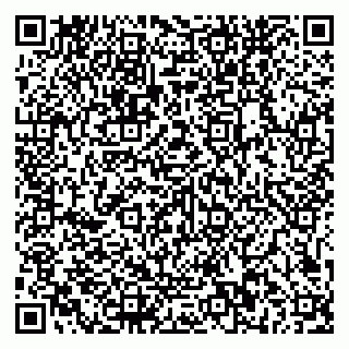 vCard 79581862137