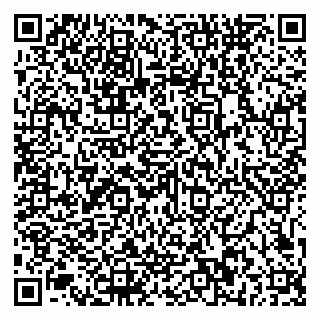 vCard 79581862207