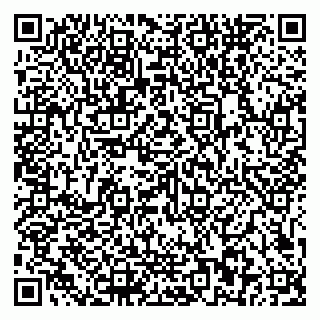 vCard 79581862208