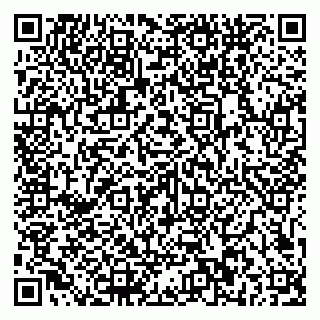 vCard 79581862217