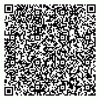 vCard 79581862218
