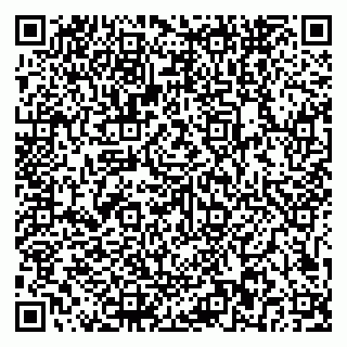 vCard 79581862221