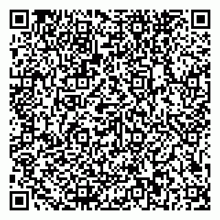 vCard 79581862225