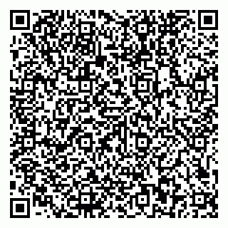 vCard 79581862228