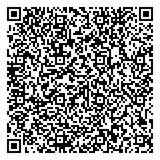 vCard 79581862253