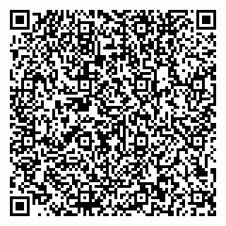 vCard 79581862294