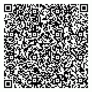 vCard 79581862317