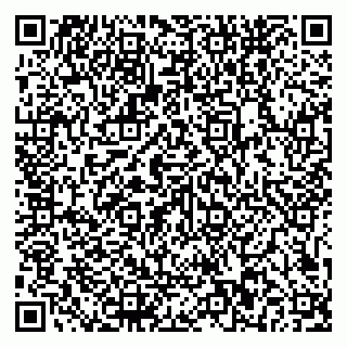 vCard 79581862333