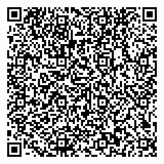 vCard 79581862336