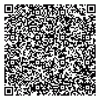 vCard 79581862337