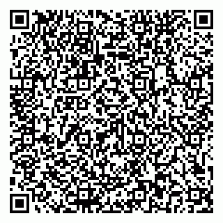 vCard 79581862351