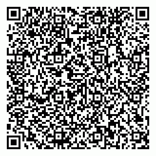vCard 79581862355