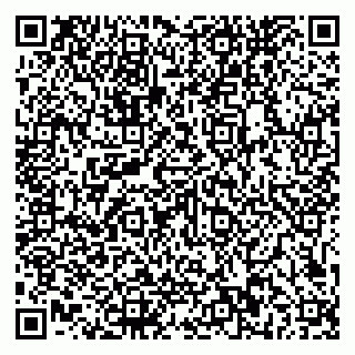 vCard 79581862377