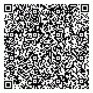 vCard 79581862387