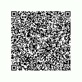 vCard 79581939029