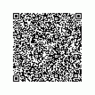 vCard 79581939031