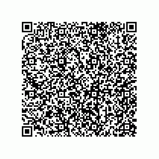 vCard 79581939037