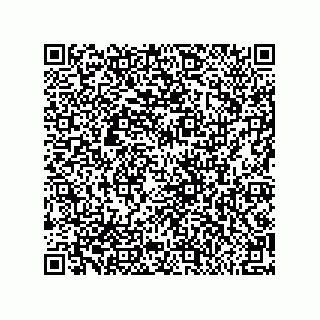 vCard 79581939093