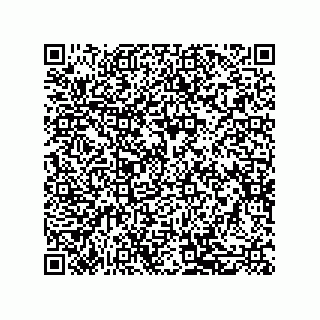 vCard 79581939207