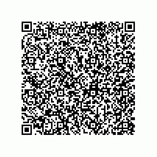 vCard 79581939225