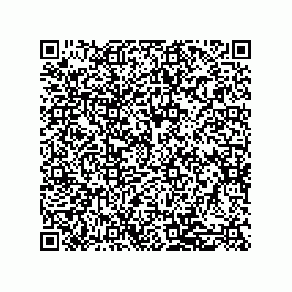 vCard 79581939233