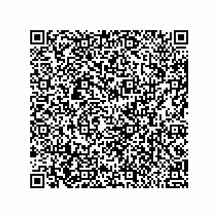 vCard 79581939234