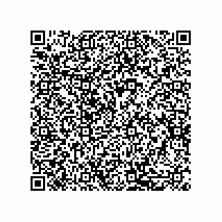 vCard 79581939264