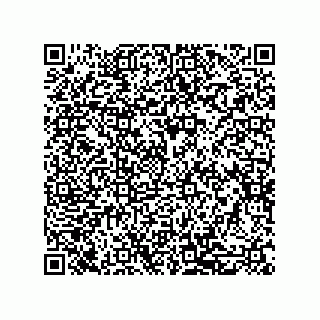 vCard 79581939291