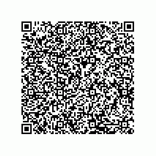 vCard 79581939295