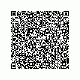 vCard 79581939297