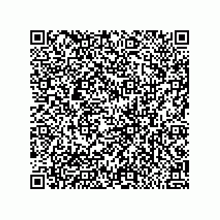 vCard 79581939310