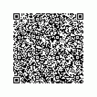 vCard 79581939328