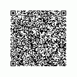 vCard 79581939329