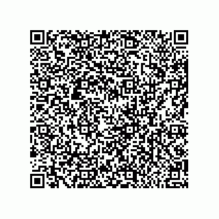 vCard 79581939331
