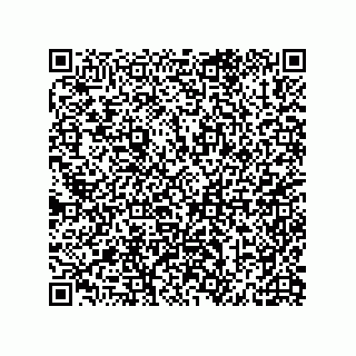 vCard 79581939333