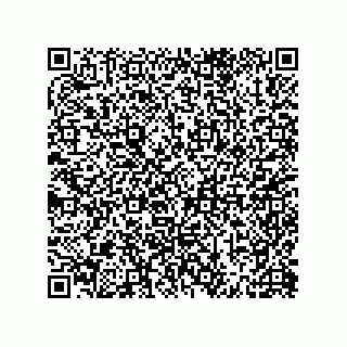 vCard 79581939338
