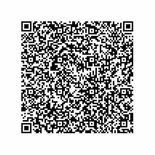 vCard 79581939353
