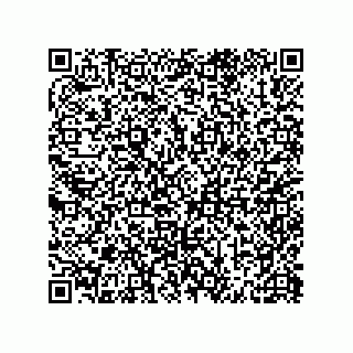 vCard 79581939379