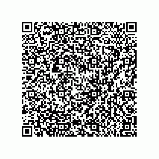 vCard 79581939381